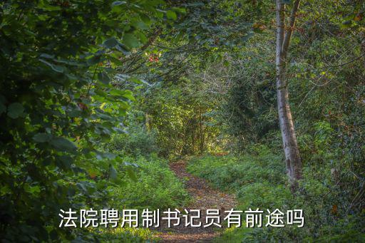 法院聘用制書記員有前途嗎