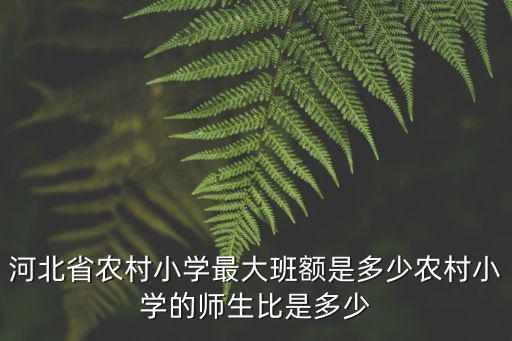 河北香河縣村小學一班多少學生,農村小學的師生比是多少