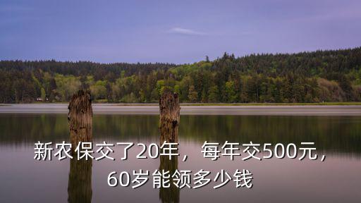 安徽阜南縣新農(nóng)保交了多少錢,新農(nóng)保交了20年
