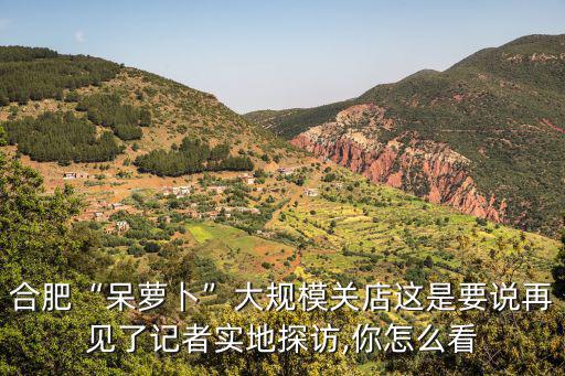 合肥呆蘿卜多少家,呆蘿卜突然關門