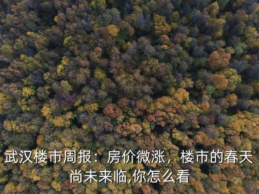 武漢樓市周報：房價微漲，樓市的春天尚未來臨,你怎么看