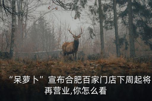 “呆蘿卜”宣布合肥百家門店下周起將再營業,你怎么看