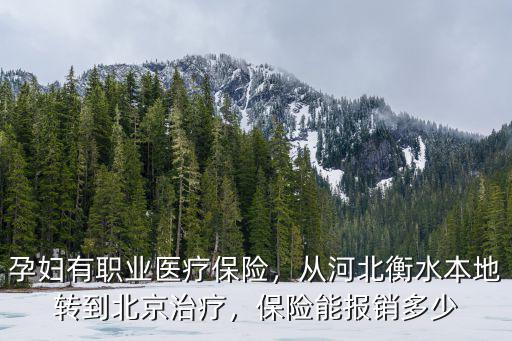 河北懷孕報銷多少,保險能報銷多少