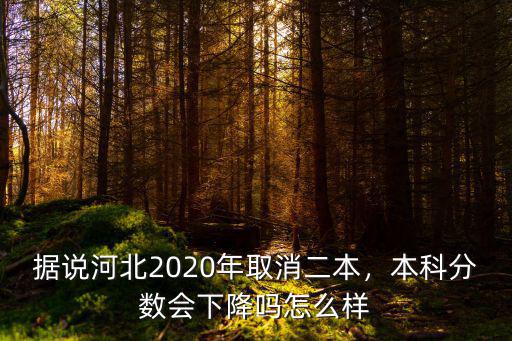 2020年河北民辦三本多少分,河北有哪些三本學校