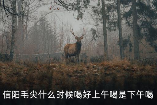 信陽毛尖什么時(shí)候喝好上午喝是下午喝