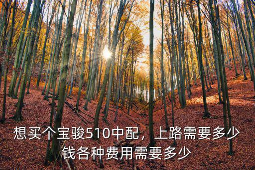 想買個寶駿510中配，上路需要多少錢各種費用需要多少