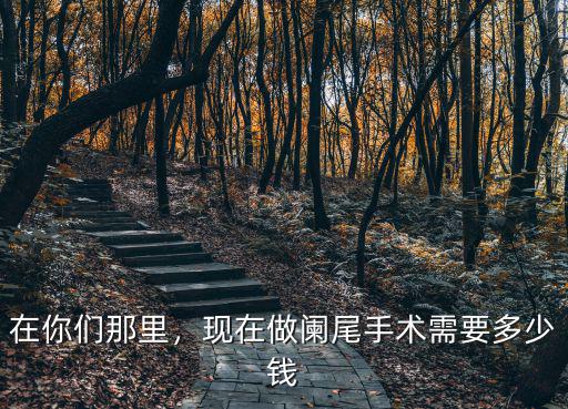 邯鄲中心醫院做闌尾炎手術多少錢,現在做闌尾手術需要多少錢