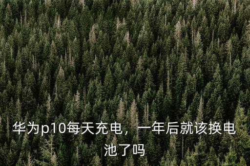 華為p10換電池石家莊多少錢,一年后就該換電池了嗎
