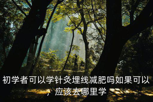 初學者可以學針灸埋線減肥嗎如果可以，應該去哪里學