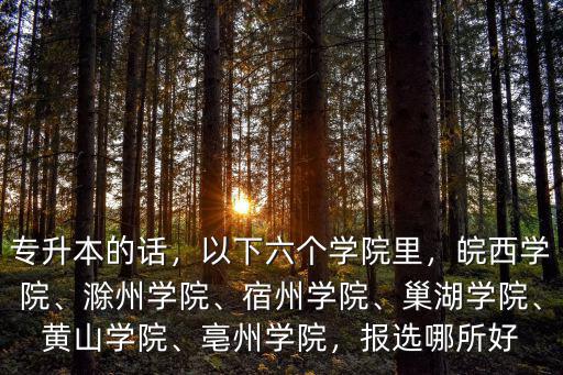 專升本的話，以下六個學院里，皖西學院、滁州學院、宿州學院、巢湖學院、黃山學院、亳州學院，報選哪所好