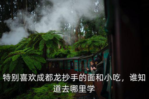 特別喜歡成都龍抄手的面和小吃，誰知道去哪里學
