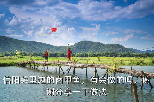 信陽哪里有鹵鱉,信陽菜里邊的鹵甲魚