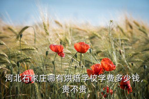 河北西點(diǎn)烘焙學(xué)費(fèi)大概多少,學(xué)西點(diǎn)學(xué)費(fèi)多少