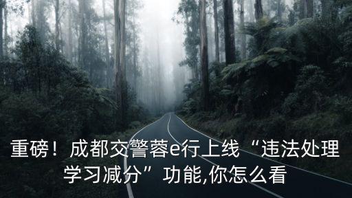 重磅！成都交警蓉e行上線“違法處理學習減分”功能,你怎么看