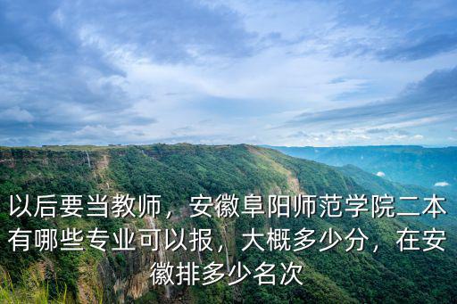 以后要當教師，安徽阜陽師范學院二本有哪些專業可以報，大概多少分，在安徽排多少名次