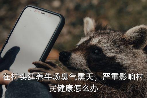 在村頭建養(yǎng)牛場臭氣熏天，嚴重影響村民健康怎么辦
