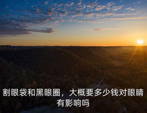 割眼袋和黑眼圈，大概要多少錢對眼睛有影響嗎
