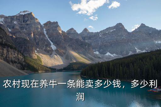 張家口養牛多少錢,農村現在養牛一條能賣多少錢