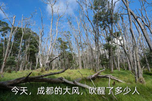 今天，成都的大風，吹醒了多少人