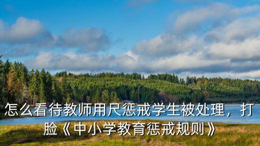 怎么看待武漢中小學(xué)教育的,如何看待武漢中小學(xué)補(bǔ)課政策