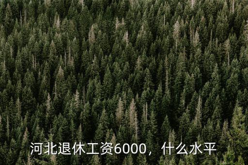 河北退休工資6000，什么水平