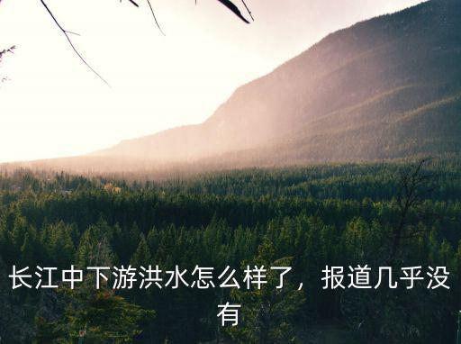 長江中下游洪水怎么樣了，報道幾乎沒有