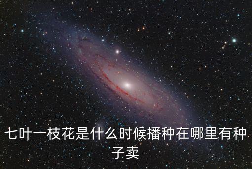 樂山哪里有賣花種子0,在哪里有種子賣