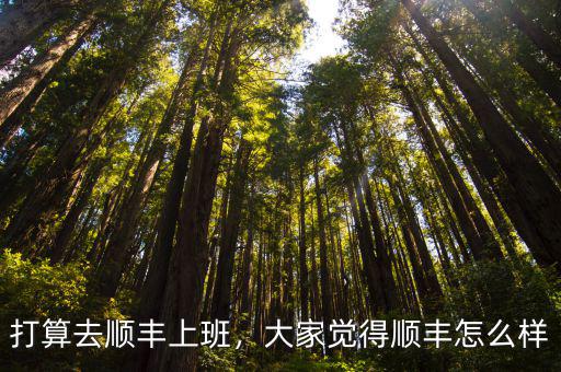 周口順豐快遞員待遇怎么樣,順豐快遞員待遇怎么樣