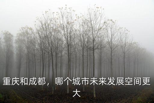 重慶和成都，哪個城市未來發展空間更大