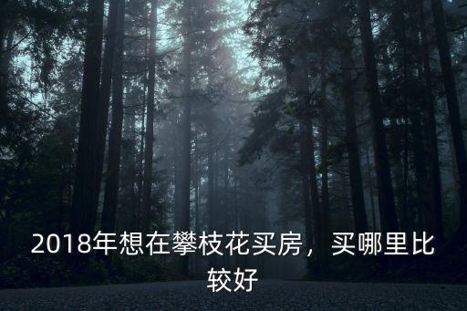 2018年想在攀枝花買房，買哪里比較好