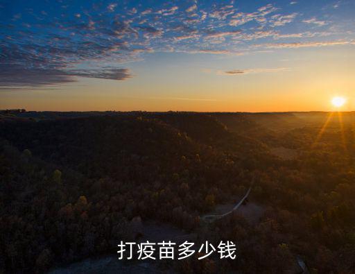 邯鄲四價疫苗多少錢一針,四價疫苗多少錢一針