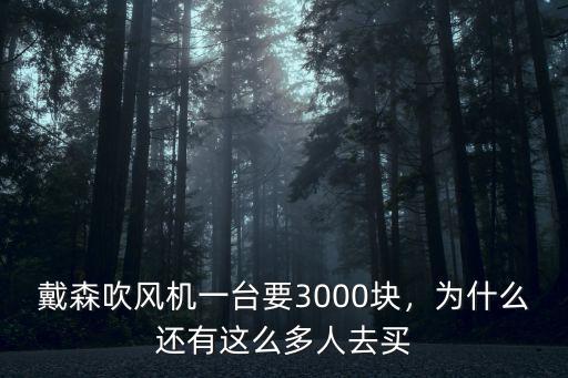 戴森吹風機一臺要3000塊，為什么還有這么多人去買