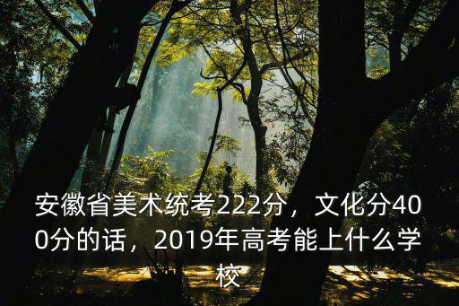 安徽省美術(shù)統(tǒng)考222分，文化分400分的話，2019年高考能上什么學(xué)校