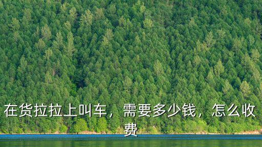 石家莊貨拉拉叫車電話多少錢,貨拉拉司機(jī)一個月能賺多少錢