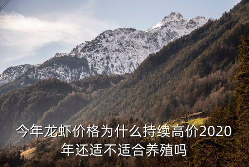 湖北龍蝦養殖今年價格怎么樣,今年龍蝦價格為什么持續高價