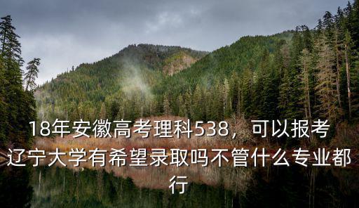 18年安徽高考理科538，可以報(bào)考遼寧大學(xué)有希望錄取嗎不管什么專業(yè)都行