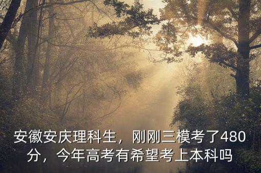 安徽安慶理科生，剛剛三模考了480分，今年高考有希望考上本科嗎