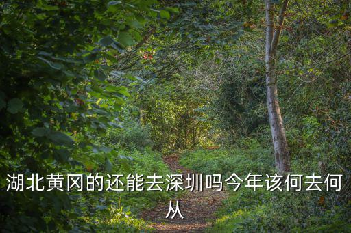 黃岡怎么去外省,怎么到外省上班