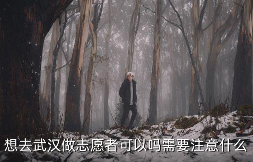 想去武漢做志愿者可以嗎需要注意什么