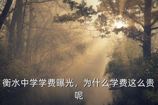 衡水中學(xué)學(xué)費(fèi)曝光，為什么學(xué)費(fèi)這么貴呢