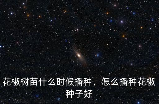 花椒樹苗什么時(shí)候播種，怎么播種花椒種子好