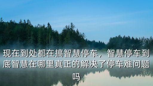 宜賓智慧停車場在哪里,智慧停車到底智慧在哪里