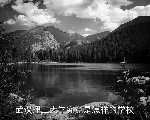 武漢理工大學的土門怎么樣,武漢理工大學口碑怎么樣