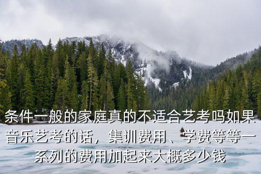 條件一般的家庭真的不適合藝考嗎如果音樂藝考的話，集訓費用、學費等等一系列的費用加起來大概多少錢