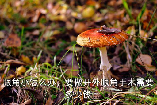 眼角小怎么辦，要做開外眼角手術需要多少錢