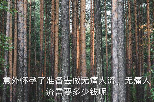 合肥市醫院無痛人流多少錢,意外懷孕了準備去做無痛人流