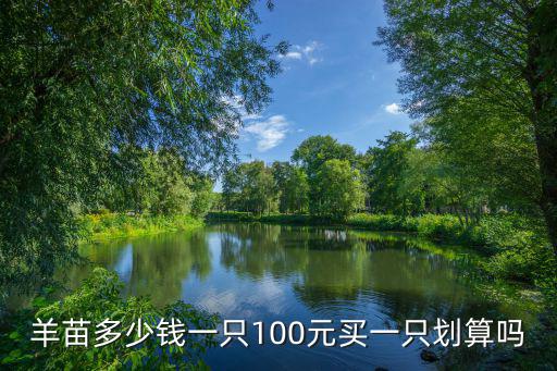羊苗多少錢一只100元買一只劃算嗎