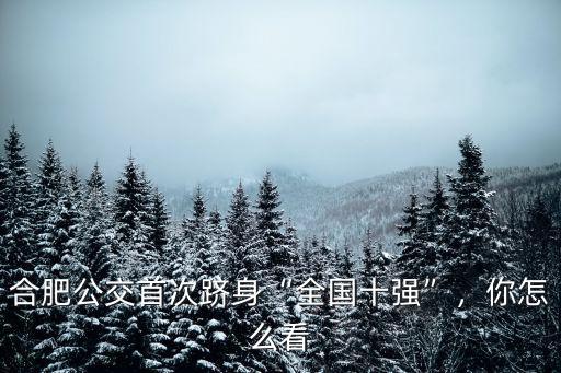 合肥公交多少輛,合肥新增76輛純電動公交車