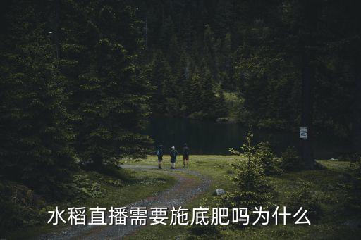水稻直播需要施底肥嗎為什么