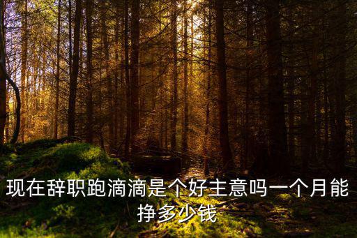 在合肥開滴滴一個月能賺多少,合肥開滴滴怎么樣